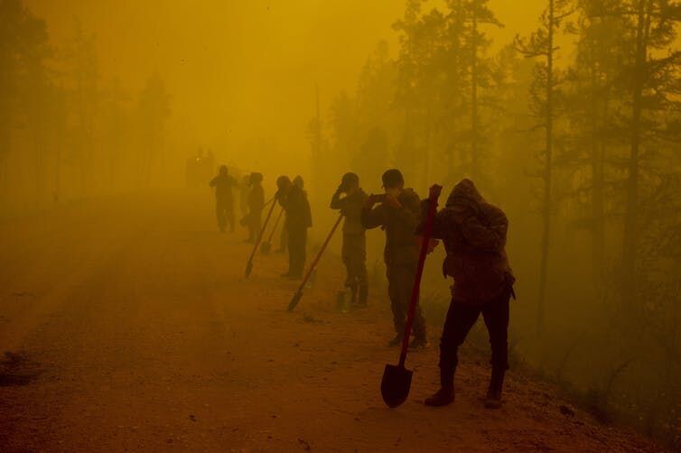 Wildfire